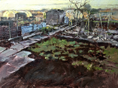 Allotments In Winter 